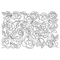 rose pano 003 sq